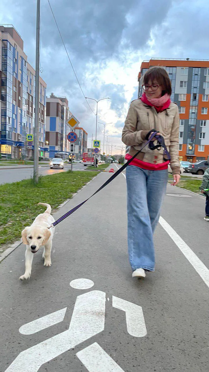 Первая прогулка 🐕